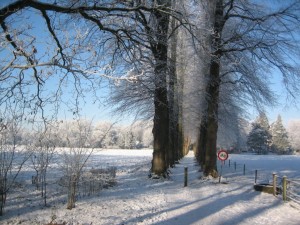 Lindelaantje Lochem