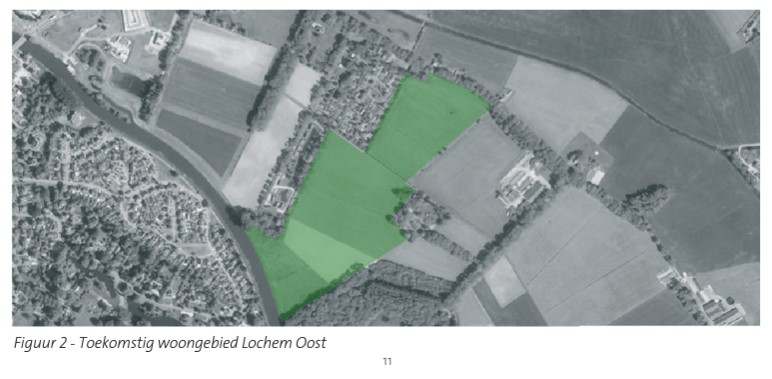 Normaal Lochem Kaarten - Vogels