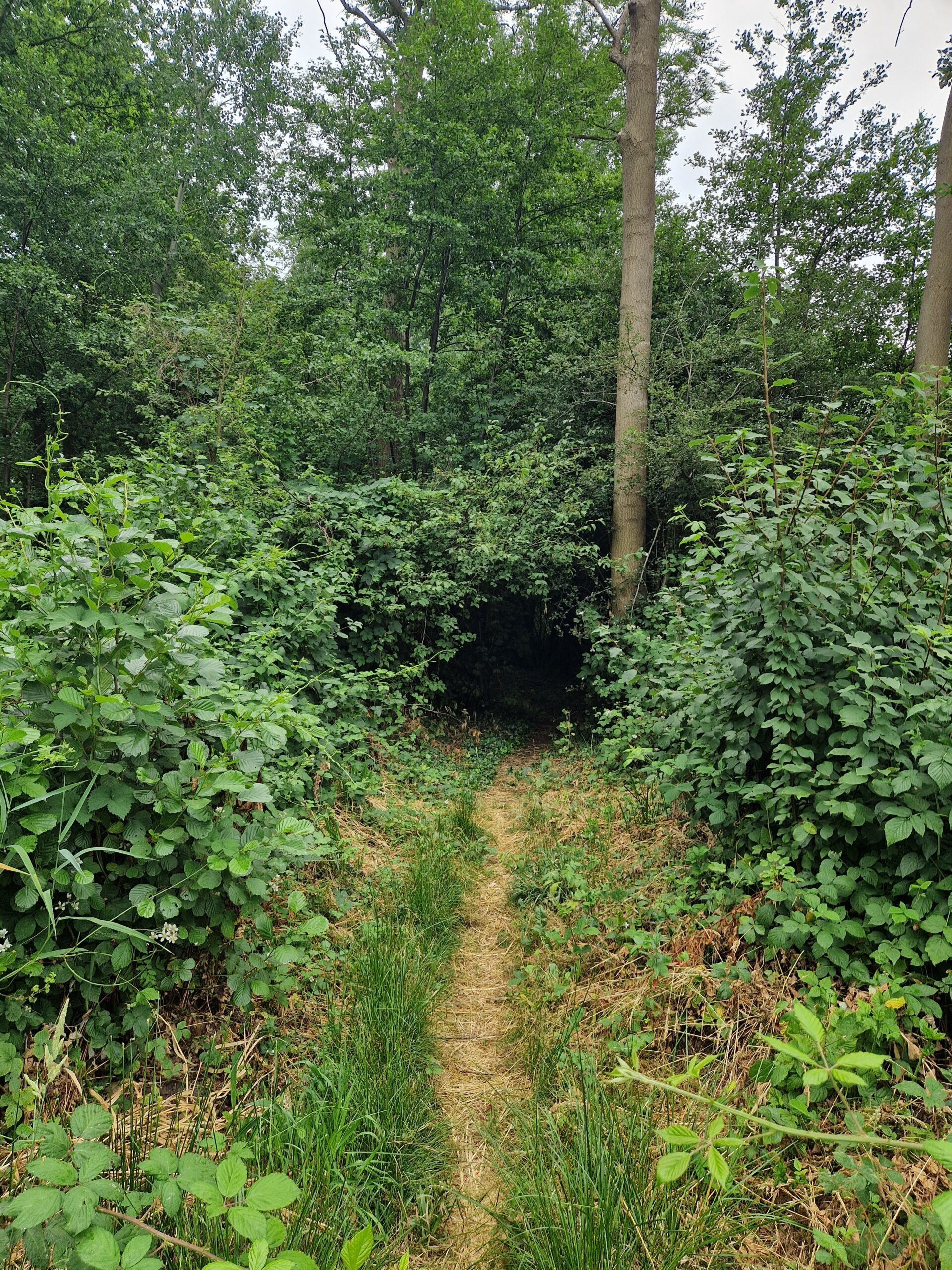 Poort van Lochem wandelroute met spannende doorkijkjes – Mooi Lochem